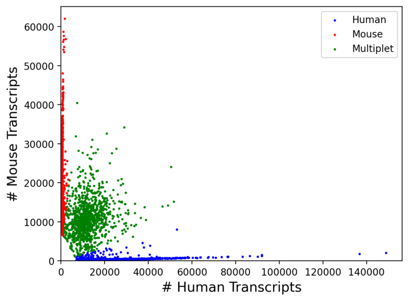 Explore Datasets: Single-Cell & Bulk RNA-seq Data (Free Access)